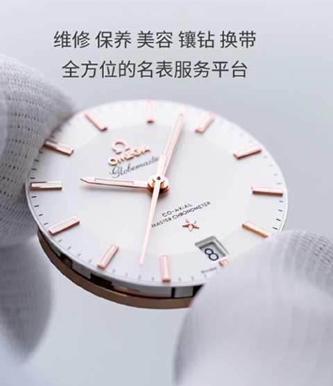 维修艾米龙
